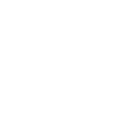 WilsonW logo